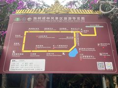-独树成林