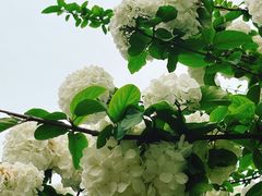 -白塘生态植物园