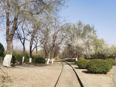 -永定河休闲森林公园