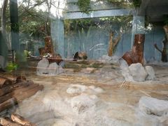 -海南热带野生动植物园