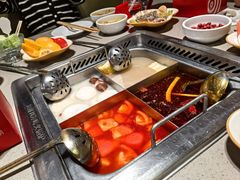 -海底捞火锅(苏宁生活广场店)