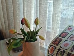 -春熙小馆(乘风庄店)