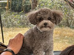 -派特宠物医院(圆融广场店)