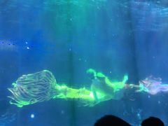 -海合安成都极地海洋公园