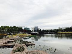 -上海海事大学(临港校区)