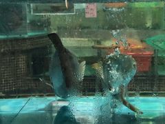 -海晖酒楼·顺德鱼生(荣华店)