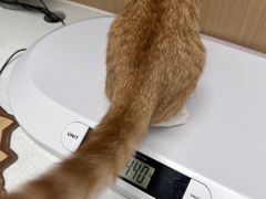-瑞派康怡24h宠物医院·犬猫医疗中心·微创绝育(瑞景分院)