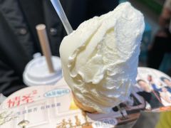 -野人先生现做冰淇淋(西安赛格店)