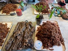 -自由生长植物工作室(深港花卉中心店)