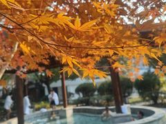 -汤山一号温泉度假区