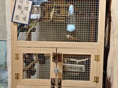 -鬼味烤翅(南锣鼓巷店)