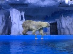 -多彩贵州城极地海洋世界