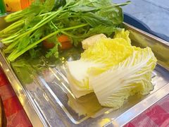 -金鼎雪山牦牛杂火锅(理县总店)