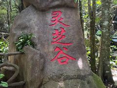 -呀诺达热带雨林