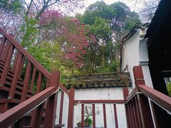 -宋宴(虎跑店)