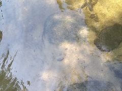 -碓臼峪自然风景区