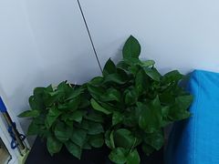 -特优手机电脑维修(中福城二期店)