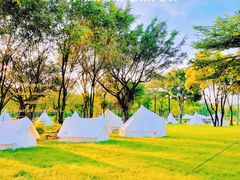 -广东花都香草世界旅游度假区