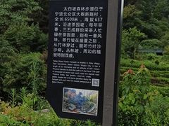 -北仑森林植物园