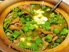 -金掌勺东北菜(格兰晴天店)