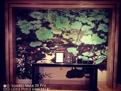 -成都华尔道夫酒店游泳池