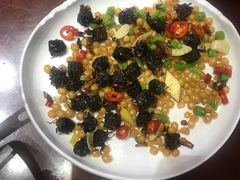 -云起草堂(白云山森林公园店)