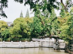 -汇龙潭