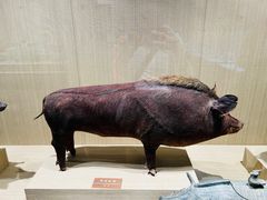 -中国农业博物馆