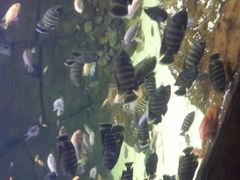 android_upload_pic-郑州海洋馆