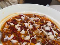 -青花椒花椒鱼(合生汇店)