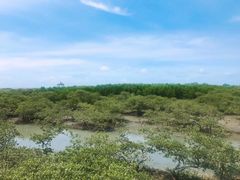 -北海金海湾红树林生态旅游区