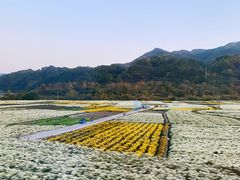 -塔川景区