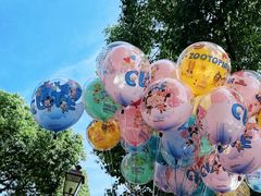 -上海迪士尼度假区