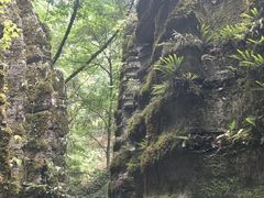 -梭布垭石林景区