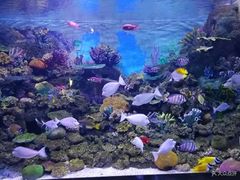 -常州海昌海洋探索馆