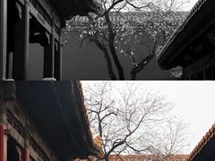 -故宫博物院(故宫)