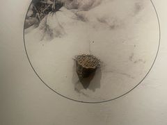 -远洲凤凰山庄臻味全日餐厅