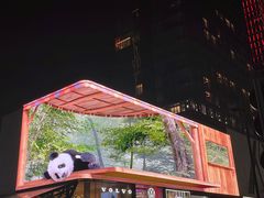 -春熙路步行街