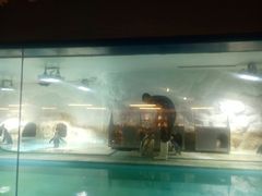 -北戴河圣蓝海洋公园