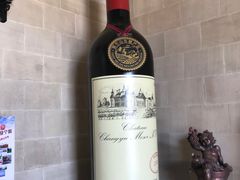 -龙谕酒庄