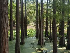 -东湖落雁景区