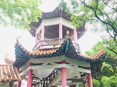 -天鹿湖森林公园