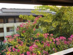 -西双版纳融创皇冠假日度假酒店