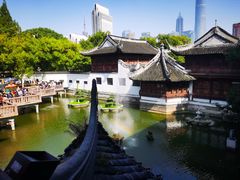 -绿波廊(豫园店)