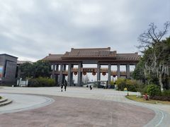 -三垟湿地