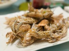 -舌尖上·霞浦滩涂海鲜·新闽菜(总店)