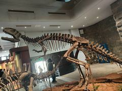 -自贡恐龙博物馆