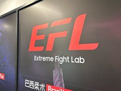 -EFL巴西柔术·综合格斗·泰拳·少儿体能训练(虹桥德必馆)