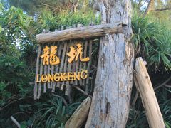 -龙坑生态保护区