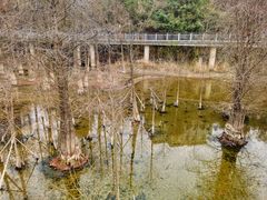 -青山湖景区